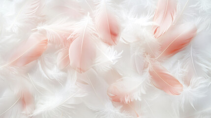 Delicate White and Pale Pink Feathers Hovering on Soft White Background - Elegant Texture for Design