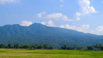 beautiful mountains with nice clouds around the rice fields