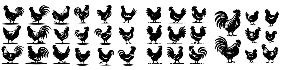 chicken silhouette vector set