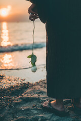 夕日の出ている海辺で白い薔薇を持つ浴衣姿の男性の手元