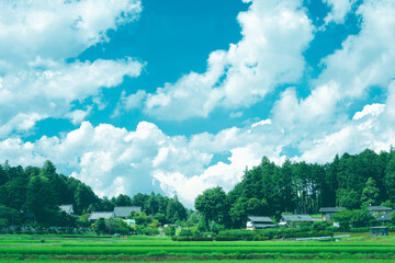 夏の田舎の風景（茨城県笠間市）