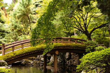 Fototapeta premium bridge over the river inside Kyoto imperial palace