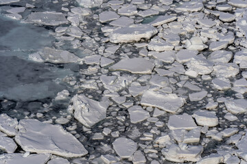 Drift ice in hokkaido Japan © 善弘 石垣