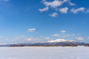 snow covered trees and mountain in Hokkaido Japan 