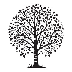 Birch Tree Vector illustration in black and white - Birch Plant Silhouette Design