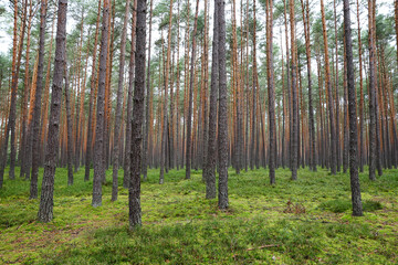 Nature reserve Nad Tanwia. 