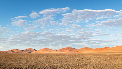 Fototapeta premium landscape in the namib desert
