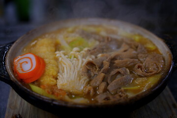 Japanese food udon