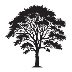 Ash Tree Vector illustration in black and white - Ash Plant Silhouette Design