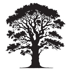 Obraz premium Ash Tree Vector illustration in black and white - Ash Plant Silhouette Design