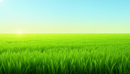 Fototapeta premium Lush Green Grass Field Under Clear Blue Sky