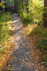 The path in the old park is covered in autumn leaves.