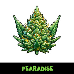 Vector Illustrated Pearadise Cannabis Bud Strain Cartoon