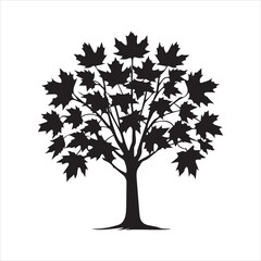 Maple Tree Vector illustration in black and white - Maple Plant Silhouette Design
