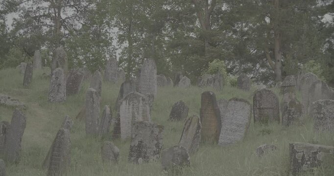 Old ancient Jewish cemetery in summer spring day. Druya, Belarus. green grass and many ancient stones. Headstone Headstones Tombstones jewish grave, clog2, clog, canon c70 c log 2