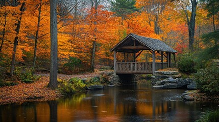 Fototapeta premium Autumnal Bridge Over a Tranquil Stream