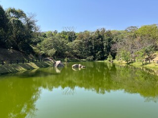 Paisagens com muito verde, lago e oceano, nos trazem alimento para alma.
