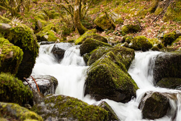 waterfall in the forest