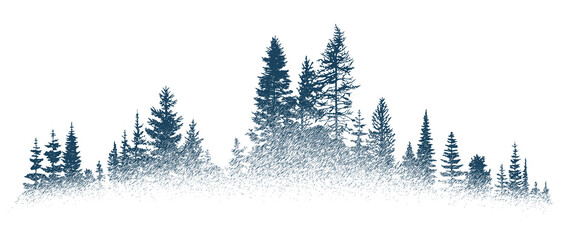 The forest in the fog, imitation of a pencil drawing, vector sketch, isolated on a white background © Valerii