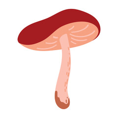 Hand Drawn Brown Boletus Mushroom Illustration Isolated on White Background. Autumn Forest Harvest. Fall Season Flora