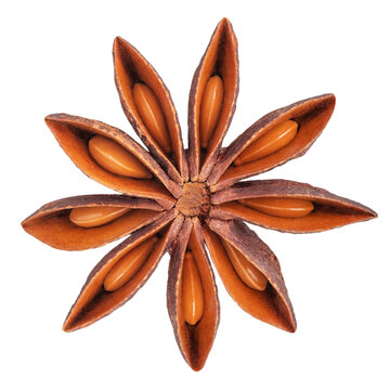 Close-up of dried star anise isolated on white background. Aromatic, star-shaped spice. Autumn and winter cooking and baking.