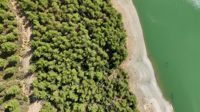 4K drone video: Paralel dirt road and coast over green lake.