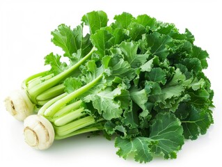 Fresh Turnip Greens on White Background