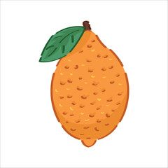Ripe lemon on white background