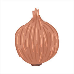 Onion bulb on white background