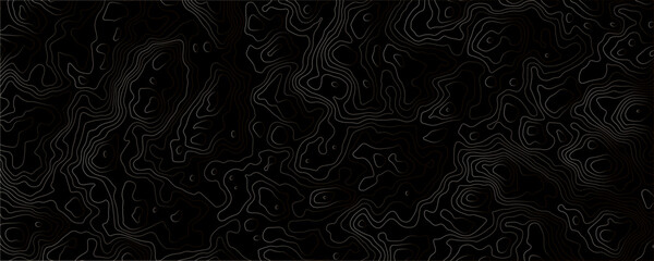 Topographic Visuals That Seamlessly Merge Art and Geography for Creative Solutions 