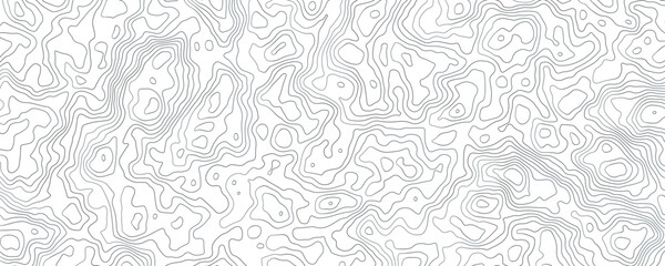 Dynamic Landscape Patterns Perfect for Contemporary Visuals and Branding Topography Abstract Background.