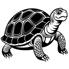 Turtle silhouette vector illustration with a detailed shell and hinged plastron. Ideal for nature-themed designs, logos, and educational materials.