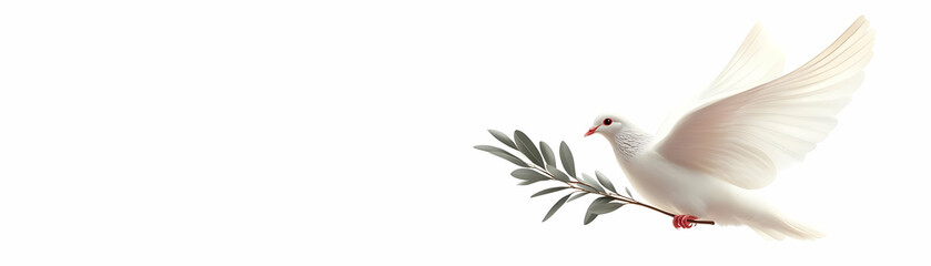 Obraz premium Isolated Peace Dove Vector with Olive Branch for Human Rights Day - Minimalist Infographic Design Symbolizing Freedom and Peace