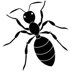 ant silhouette vector illustration on white background
