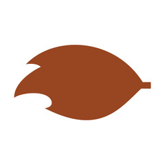 Autumn leaf flat icon isolated on white background. Maple leaf flat icon. Leaves flat icon. Isolated on white background. . Nature element design, Maple leaf