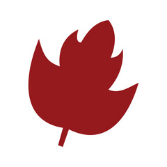 Maple leaf flat icon. Autumn leaf flat icon isolated on white background. Maple leaf flat icon. Leaves flat icon. Isolated on white background. . Nature element design, Maple leaf