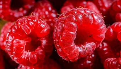 Close up of fresh raspberries