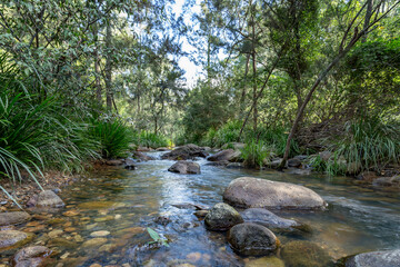 Obraz premium Mountain stream