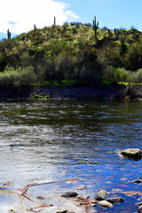 Salt River Recreation Area Arizona