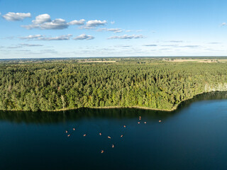 Aerial drone view of people kayaking on a lake surrounded by green forest. Kulka Reserve, Masuria, Poland. Sailing in red kayaks in the Masurian Lake District. Lake Lesk in the Kulka Reserve in Poland