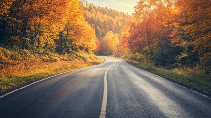 Fototapeta premium Winding asphalt road through a vibrant autumn forest with golden leaves and soft sunlight.