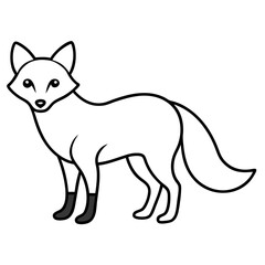 Fox on white background