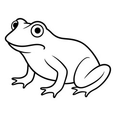 frog on white background