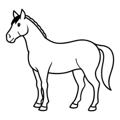 horse isolated on white