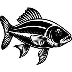 Red snapper isolated vector illustration. Fishing logo of red snapper. Fishing emlem for company or sport club. Marine theme background.