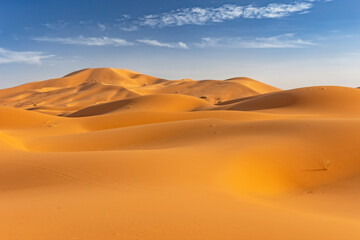 Landscape of golden sand dunes with blue sky in Sahara desert. Morocco. 