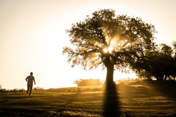 Hombre corriendo hacia un árbol en una hermosa pradera al atardecer
