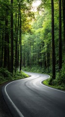 Obraz premium Winding road through a lush green forest under soft sunlight.