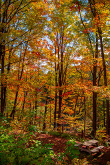 Magnificent autumn landscapes in the Canadian countryside in the province of Quebec