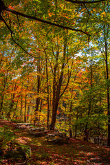 Magnificent autumn landscapes in the Canadian countryside in the province of Quebec